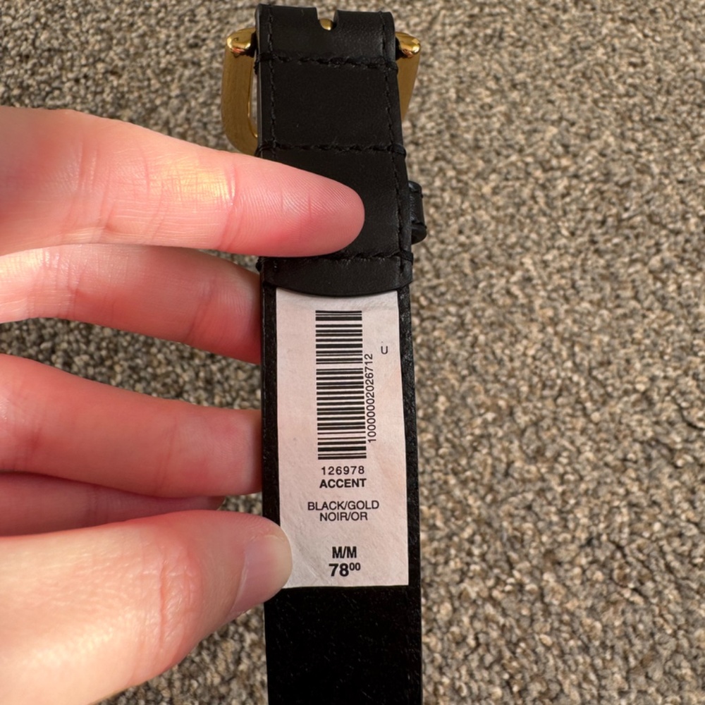 Aritzia Accent Solid Brass Leather Belt - Picture 5 of 11